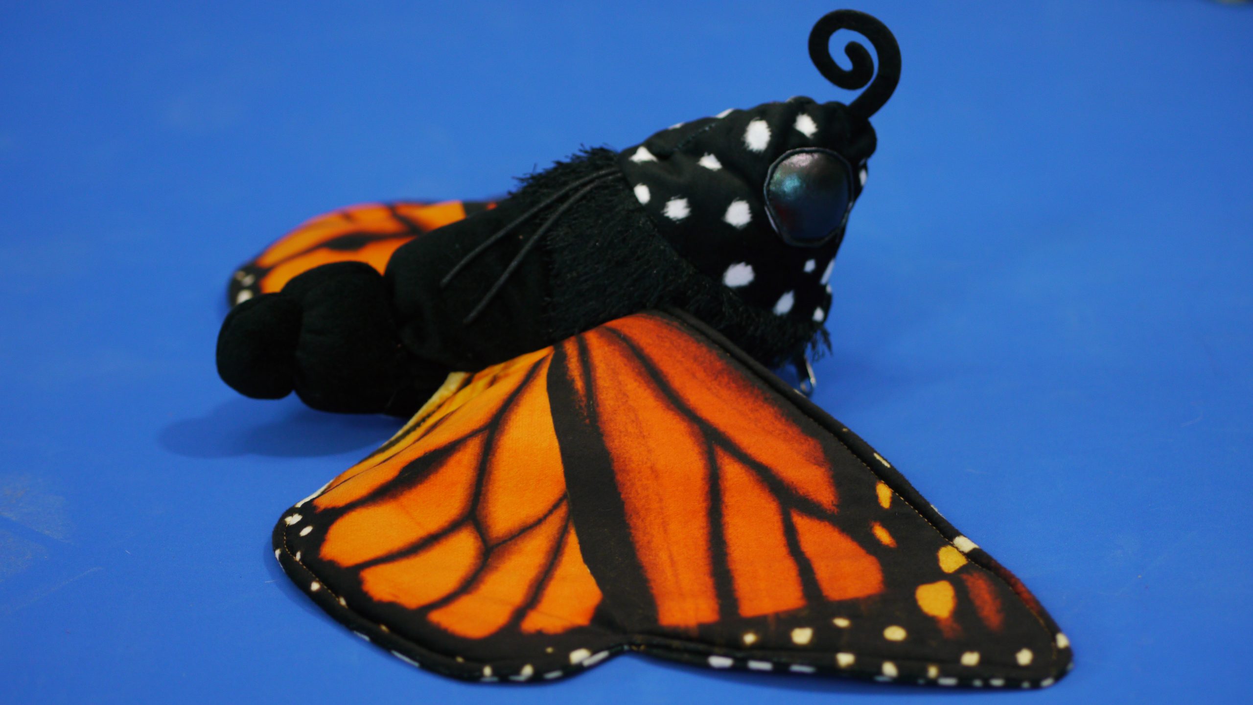 MONARCH BUTTERFLY LIFE CYCLE Puppet # 3073  FREE SHIP/USA ~ Folkmanis Puppets 